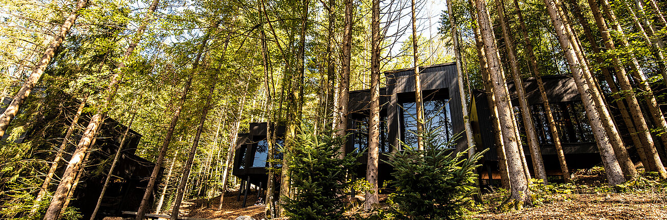 Wald SPA im Naturhotel Fischerwirt