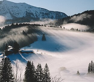 Winterliche Landschaft im Nebel in den Salzkammergut Bergen