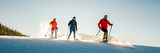 Schneeschuhwandern im Salzkammergut